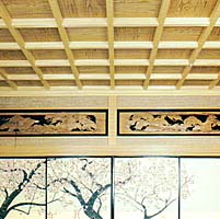 天井写真